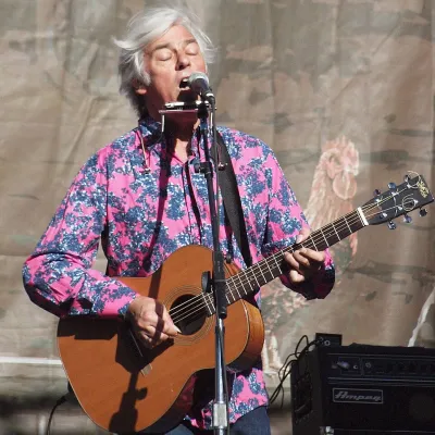 Robyn Hitchcock